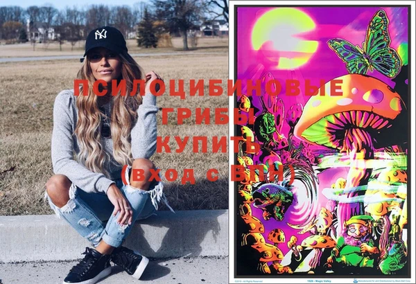 мдпв Алексин